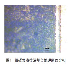氮碳共渗盐浴复合处理断面金相