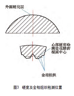 硬度及金相组织检测位置